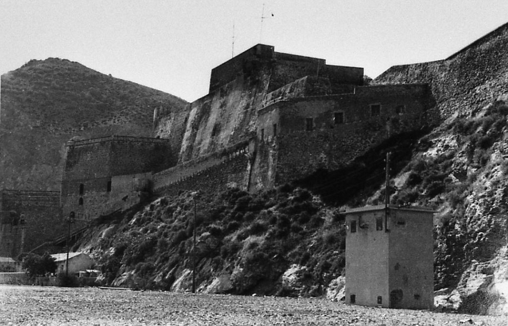 ORAN 02427.jpg